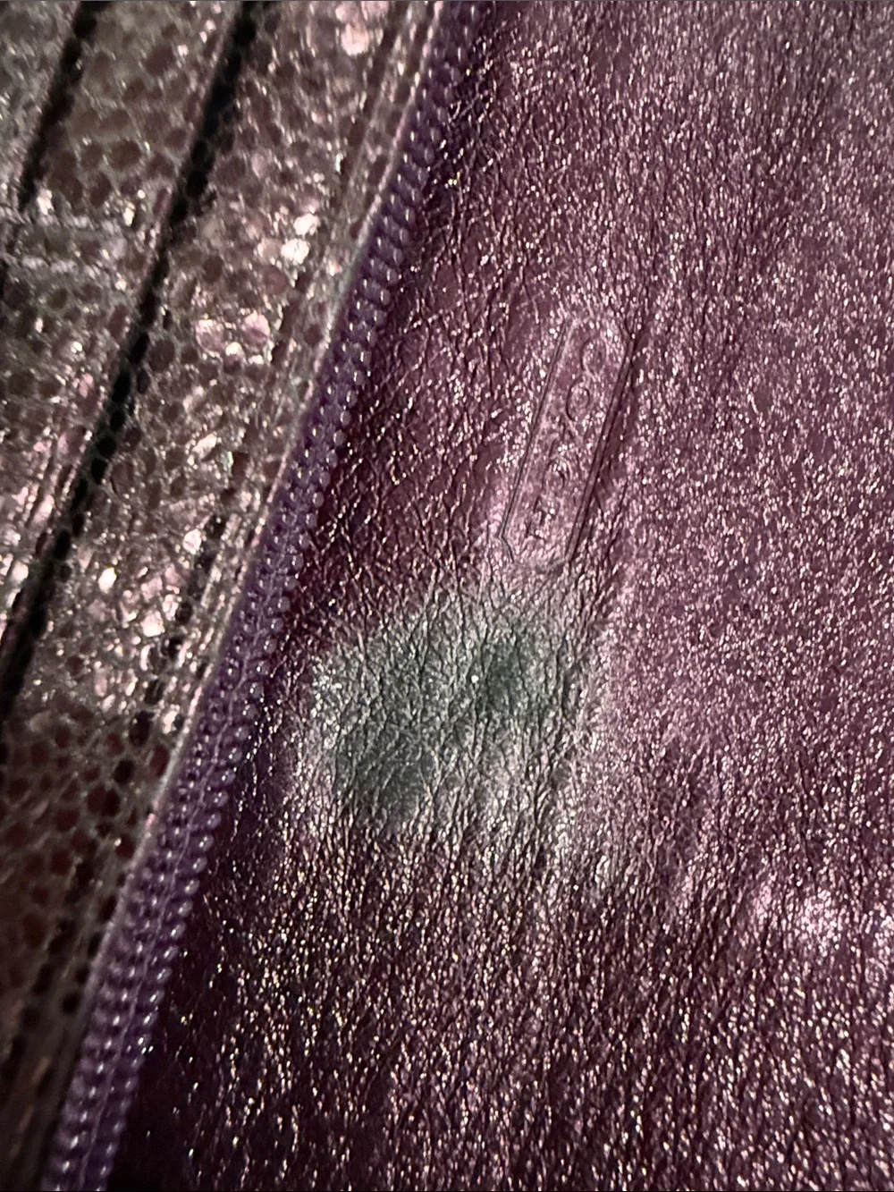 Coach stylish purple